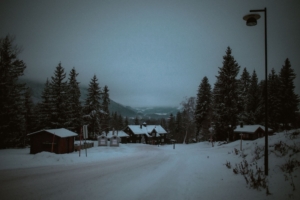 Mastiff Norway, Werewolves İçin Norveç Versiyonunu Hazırlıyor